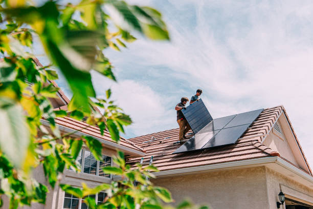 Best Roof Moss and Algae Removal  in Montpelier, ID